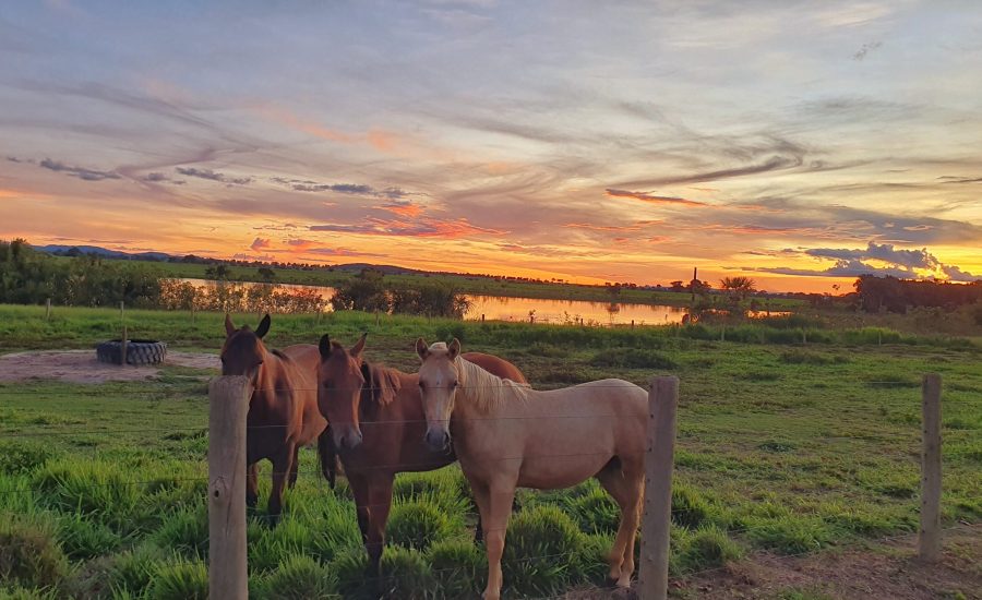 20240126_665_2024 - Foto