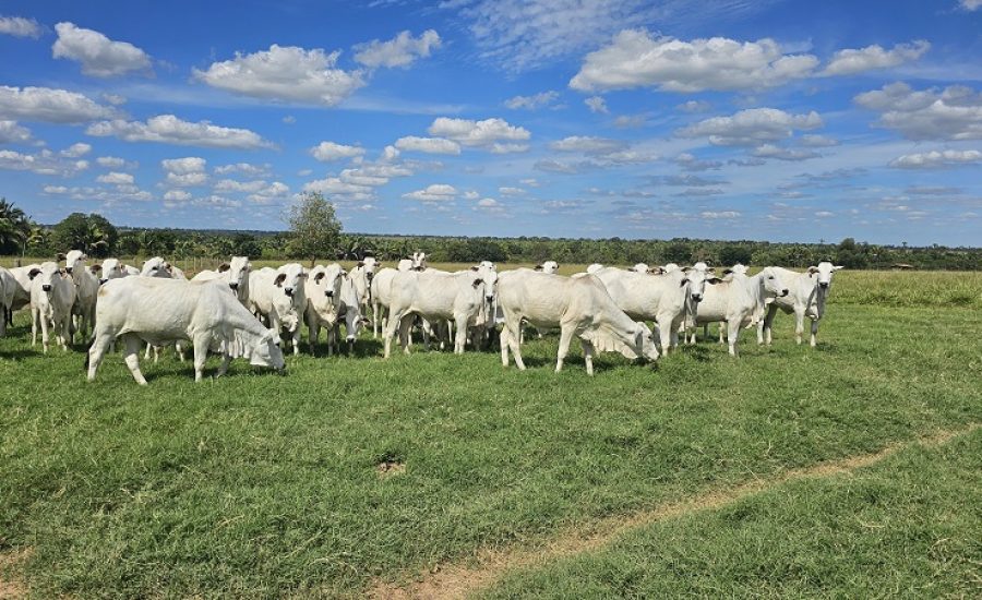 20250509_724_2025 - Foto