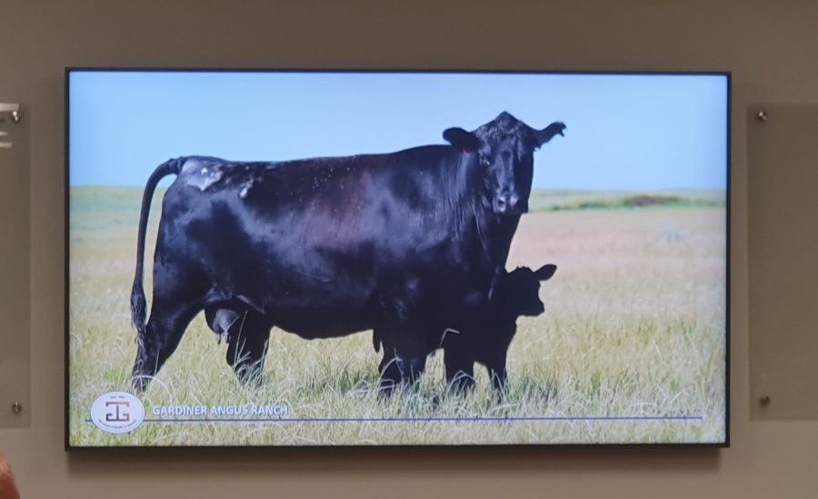 20250516_725_2025 - Foto