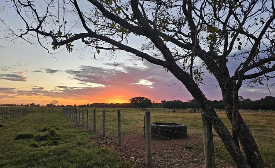 20250611_729_2025 - Foto