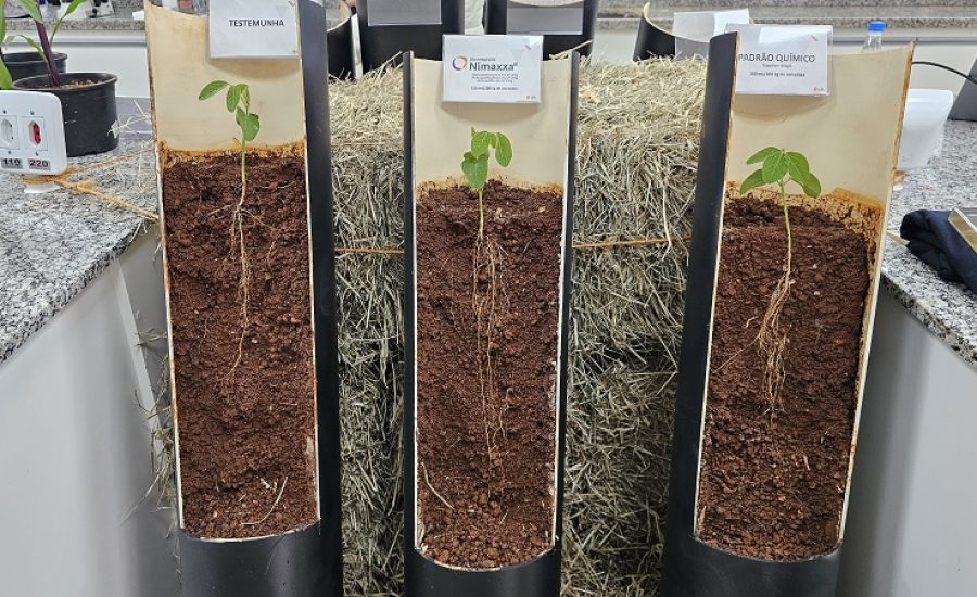 20250626_731_2025 - Foto