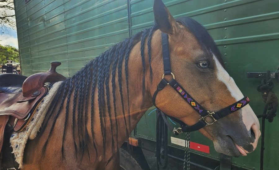 20250703_732_2025 - Foto