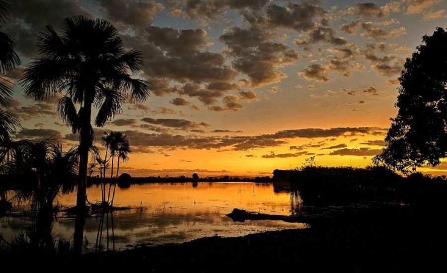 20250814_736_2025 - Foto