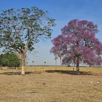 20250821_737_2025 - Foto