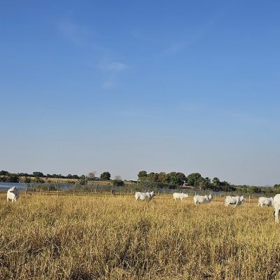 20250821_738_2025 - Foto