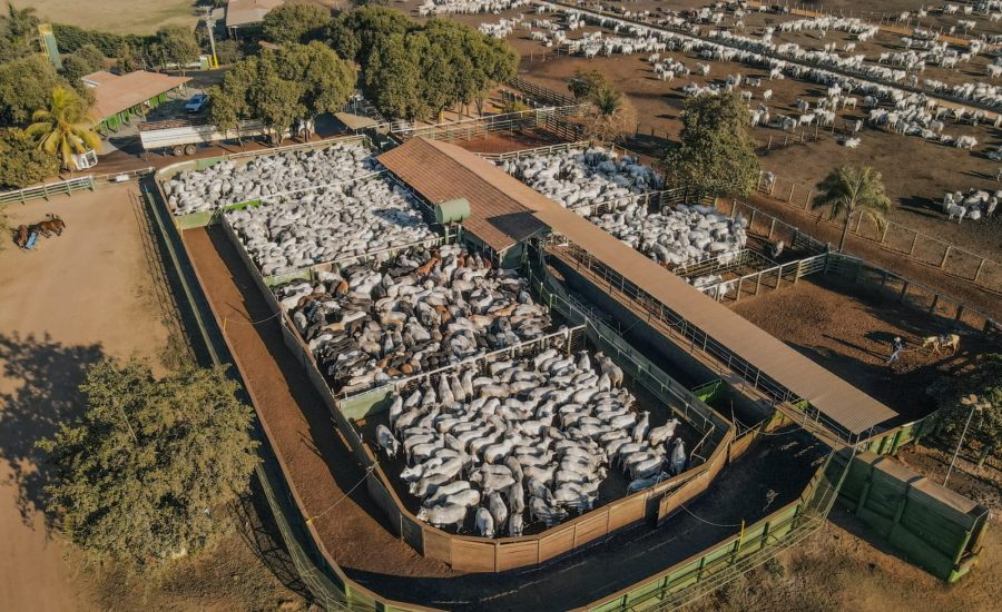 20250904_740_2025 - Foto