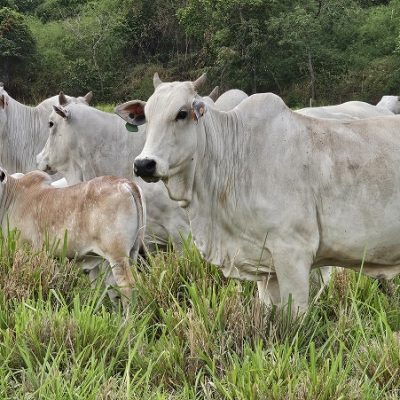 20251106_749_2025 - Foto