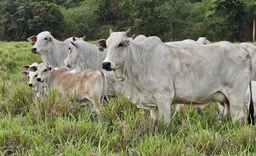 20251106_749_2025 - Foto