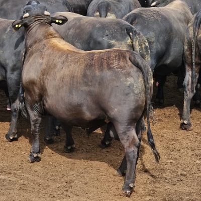 20251112_750_2025 - Front