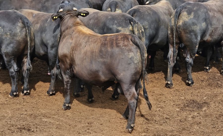 20251112_750_2025 - Front