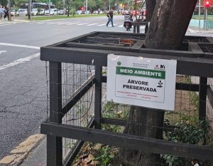 20251211_754_2025 - Foto