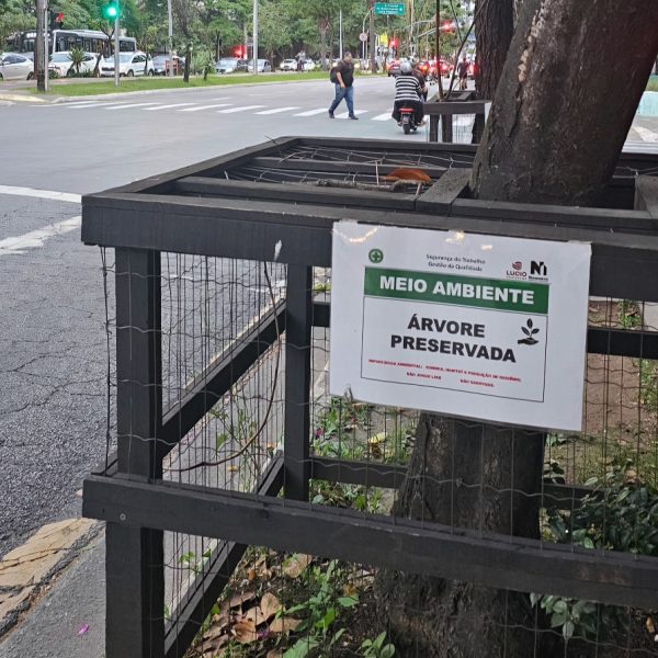 20251211_754_2025 - Foto