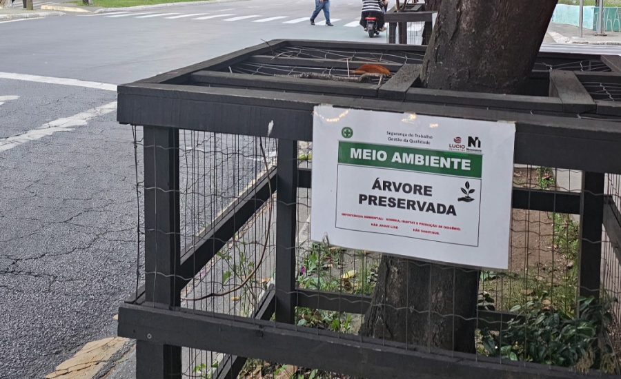 20251211_754_2025 - Foto