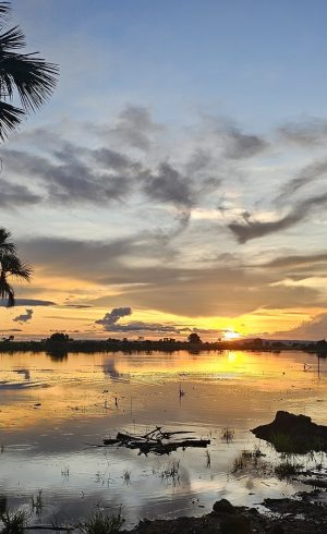 20251218_755_2025 - Front