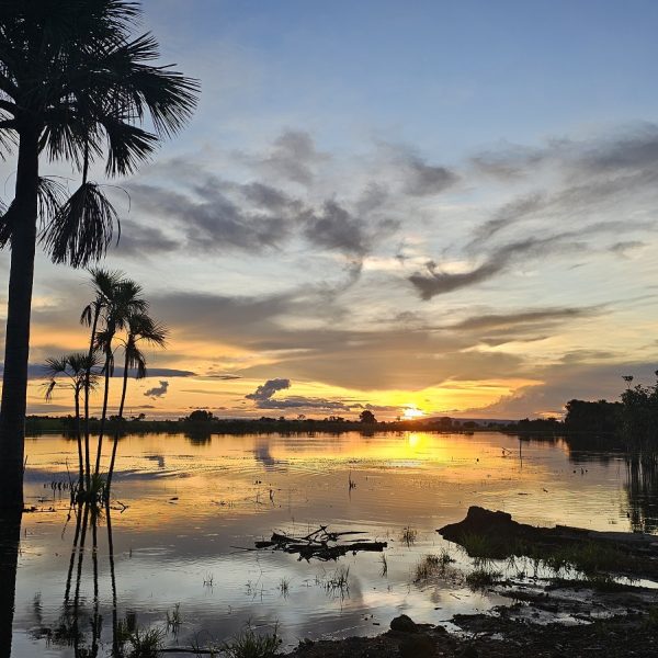 20251218_755_2025 - Front