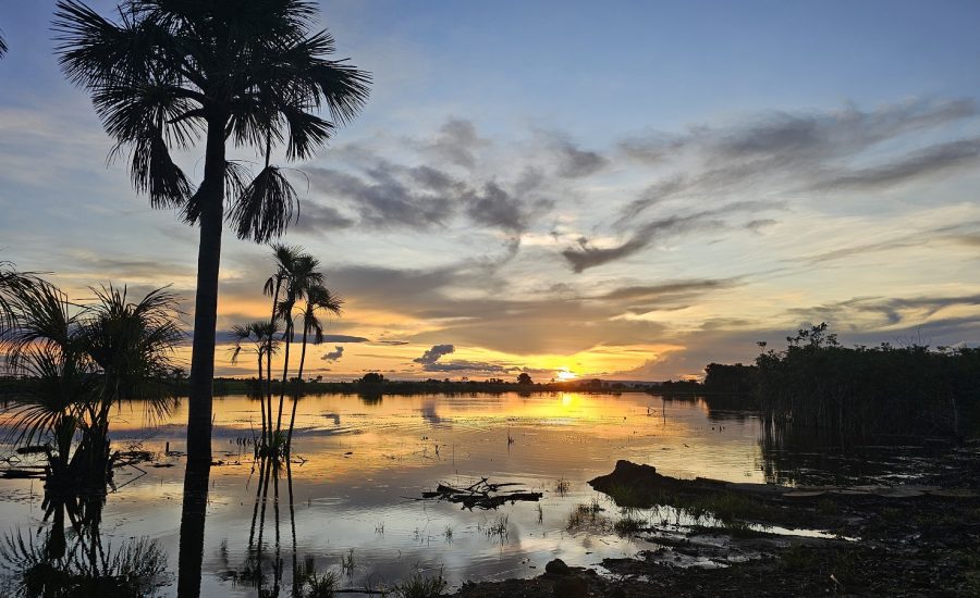 20251218_755_2025 - Front