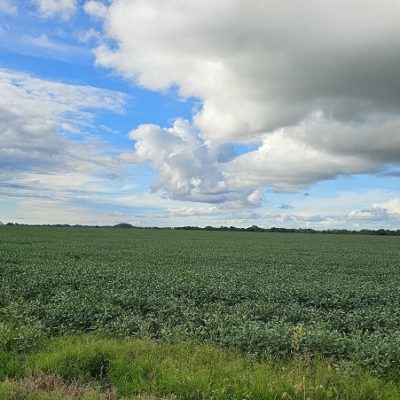 20260108_756_2025 - Foto