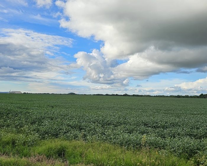 20260108_756_2025 - Foto