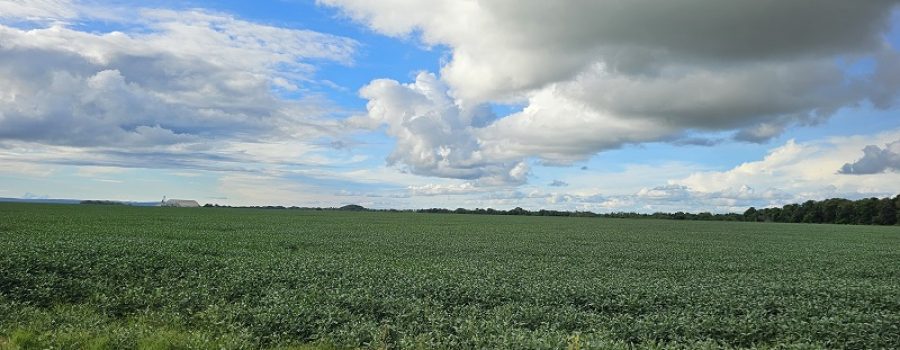 20260108_756_2025 - Foto