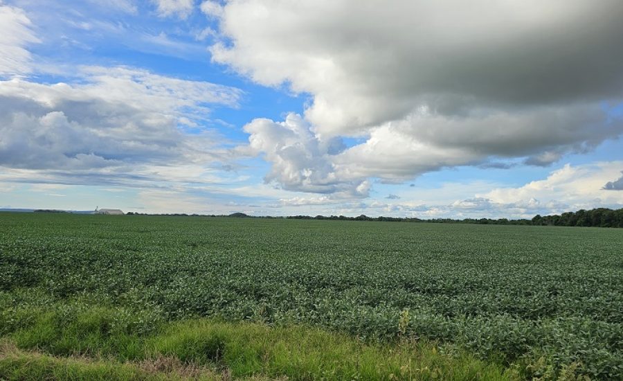 20260108_756_2025 - Foto