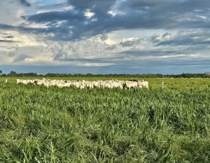 20260220_762_2026 - Foto