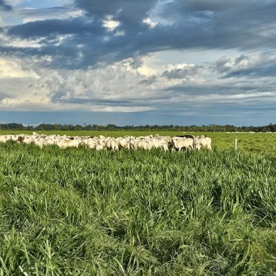 20260220_762_2026 - Foto