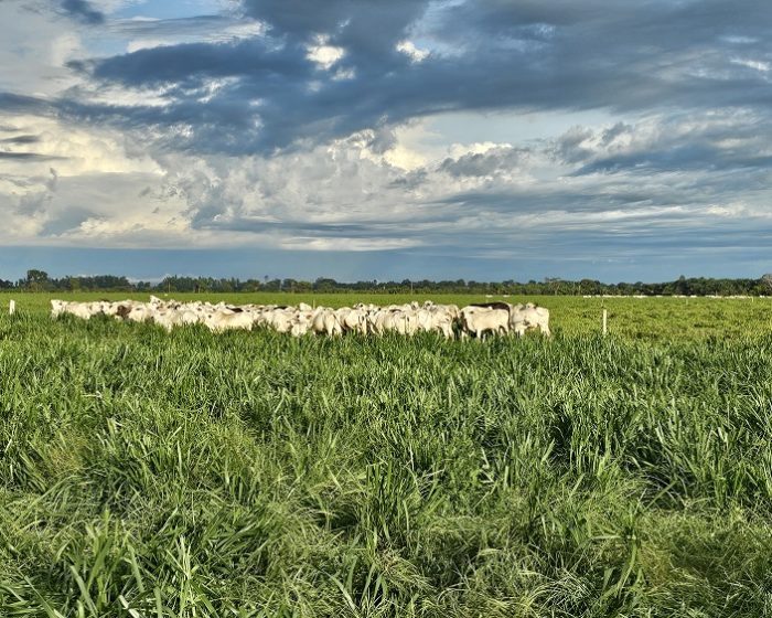 20260220_762_2026 - Foto