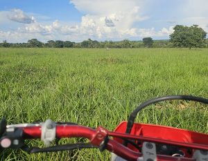 20260305_764_2026 - Foto