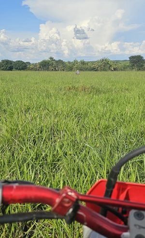 20260305_764_2026 - Foto