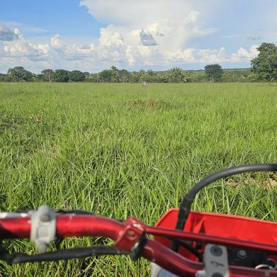 20260305_764_2026 - Foto