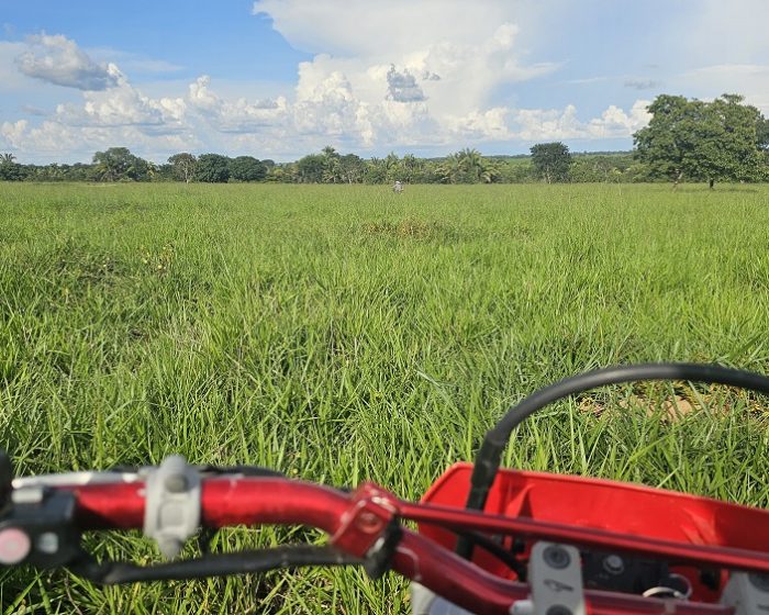 20260305_764_2026 - Foto