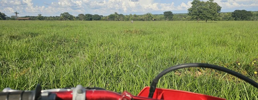 20260305_764_2026 - Foto