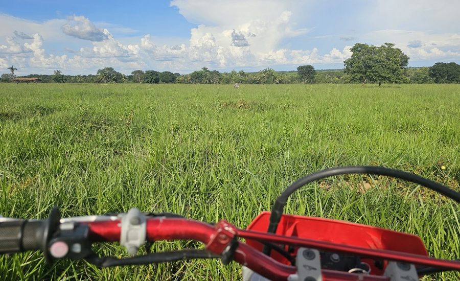 20260305_764_2026 - Foto