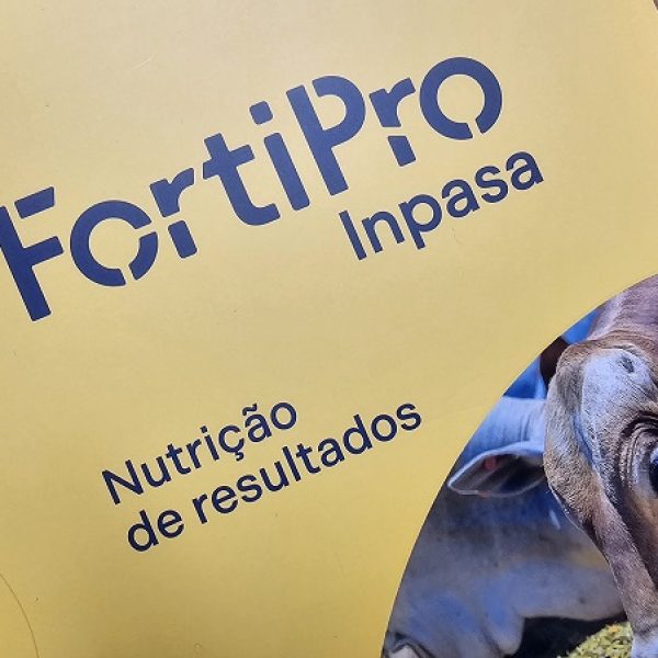 20260313_765_2026 - Foto