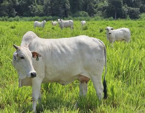 20260326_767_2026 - Foto