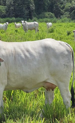 20260326_767_2026 - Foto