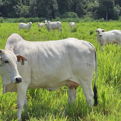 20260326_767_2026 - Foto