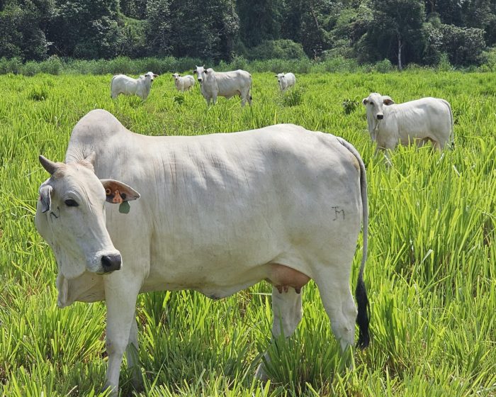 20260326_767_2026 - Foto