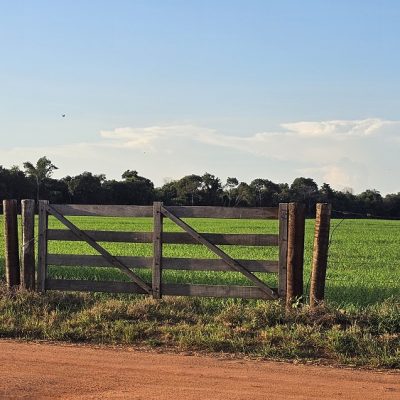 20260424_771_2026 - Foto