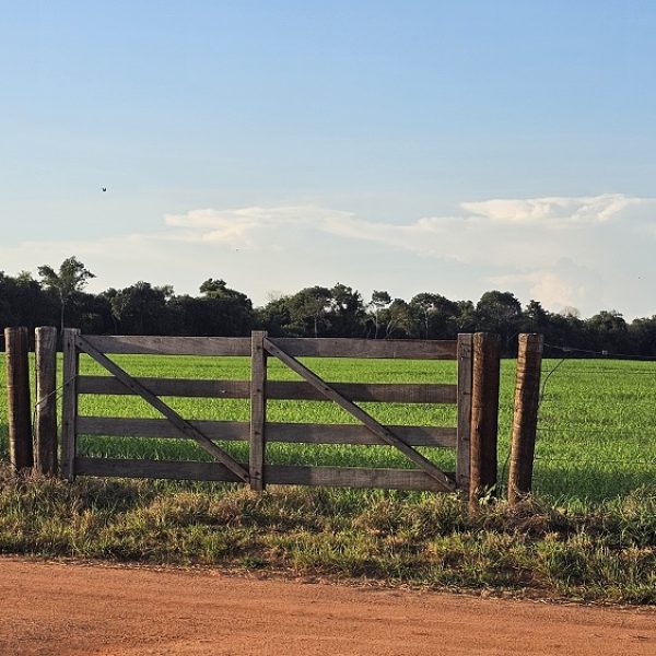 20260424_771_2026 - Foto