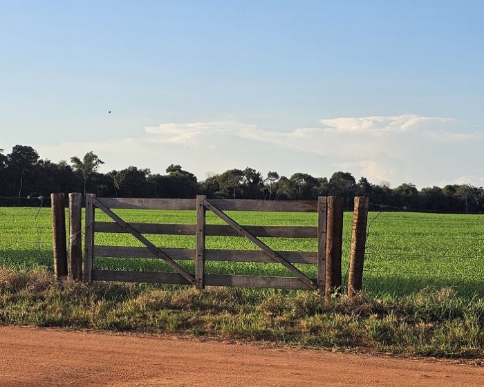 20260424_771_2026 - Foto