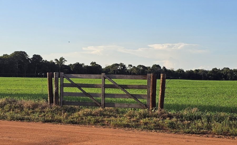 20260424_771_2026 - Foto