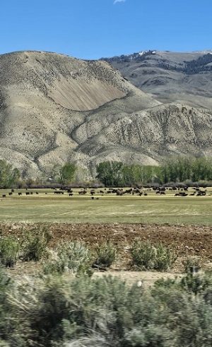 20260508_772_2026 - Foto