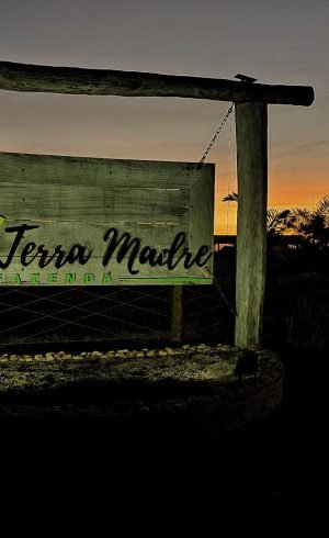20260806_783_2026 - Foto