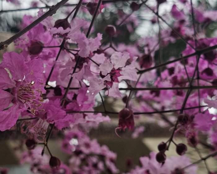 20260827_786_2026 - foto